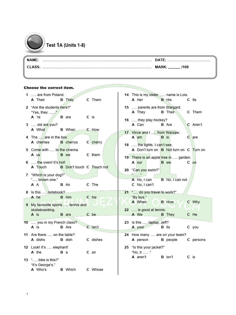 English Grammar Test for Beginners | PDF