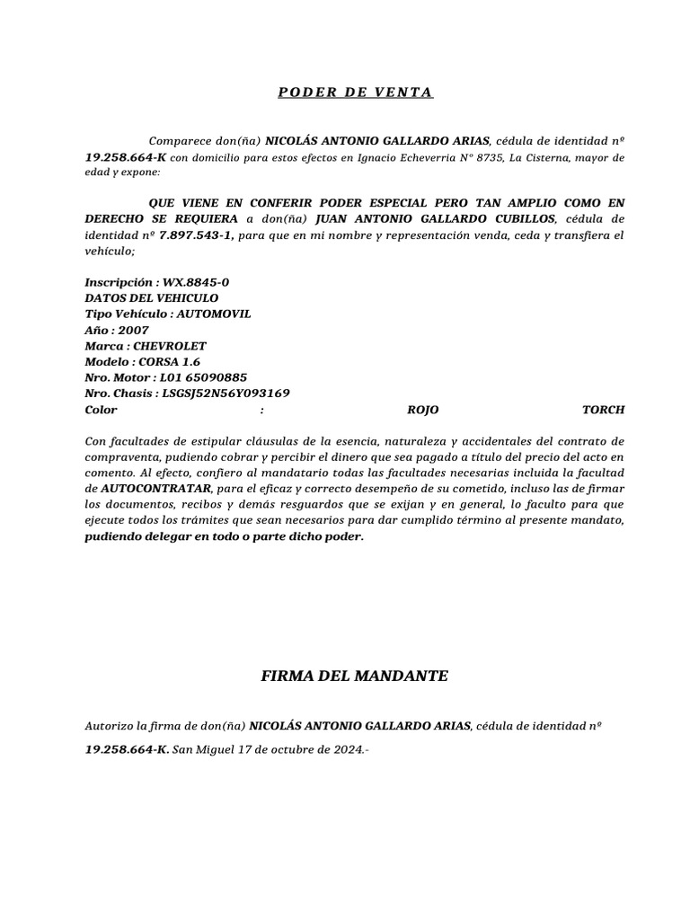 Poder de Venta Modelo | PDF