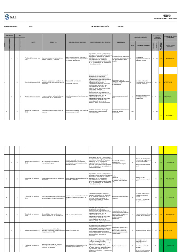 Matriz de Riesgos y Oportunidades HSEQ | PDF | Planificación | Business
