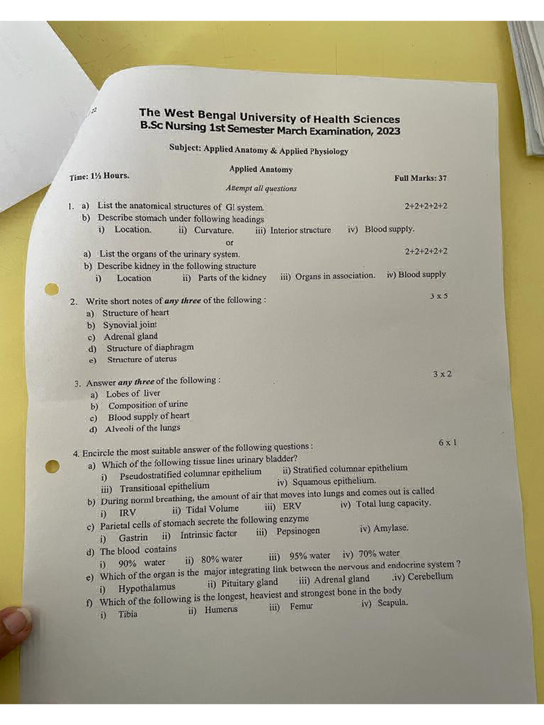 Anatomy Physiology Questions Latest Version | PDF