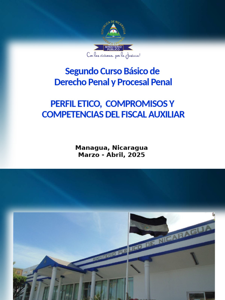Perfil y competencias del fiscal auxiliar | PDF | Fiscal | Institución