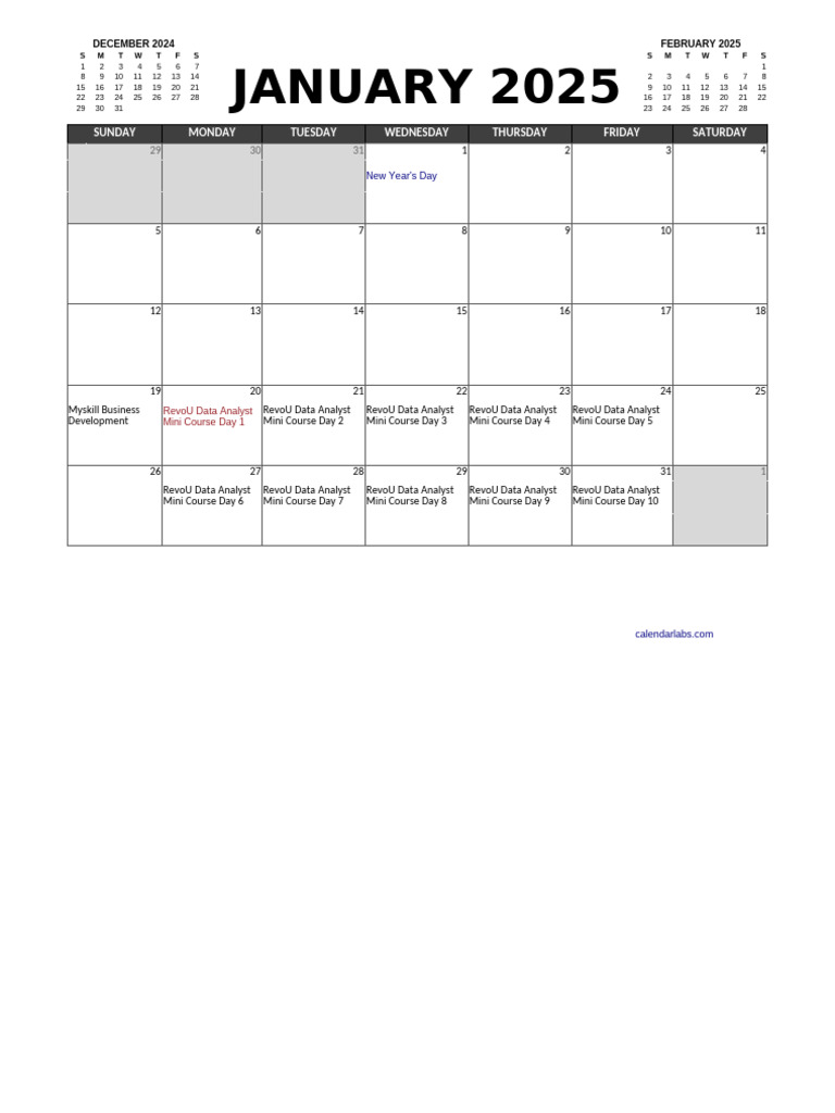 2025 Excel Calendar Planner | PDF | Observances