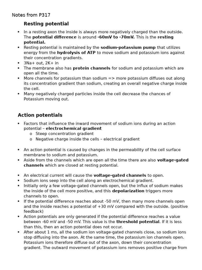 Understanding Action Potentials and Synapses | PDF | Action Potential ...