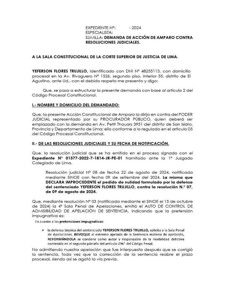 Demanda de Amparo contra Resoluciones Judiciales | PDF | Apelación ...