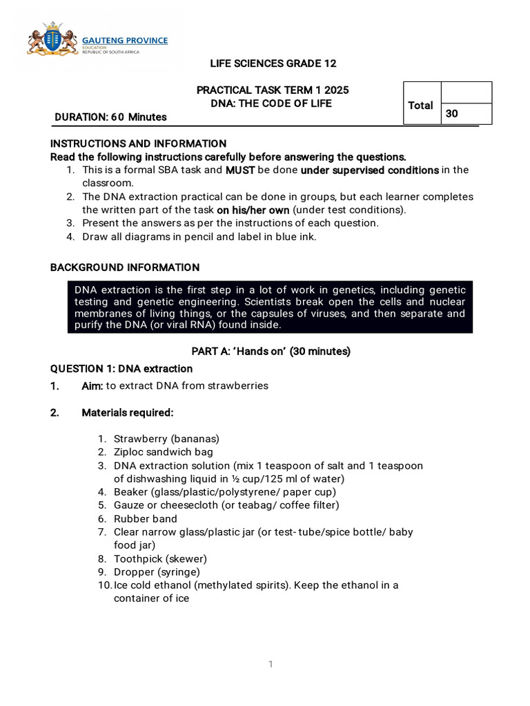 Grade 12 DNA Extraction Practical Guide | PDF
