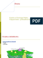 3. Selektivna Propustljivost Membrane