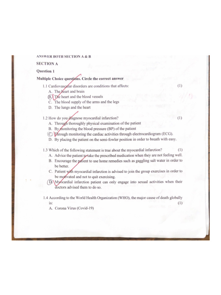 Section A | PDF