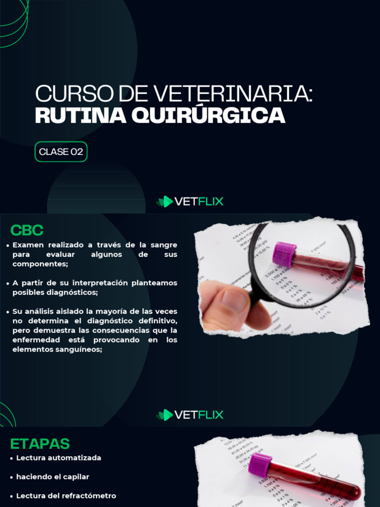 Análisis Hematológico en Veterinaria | PDF | Sangre | Transaminasa