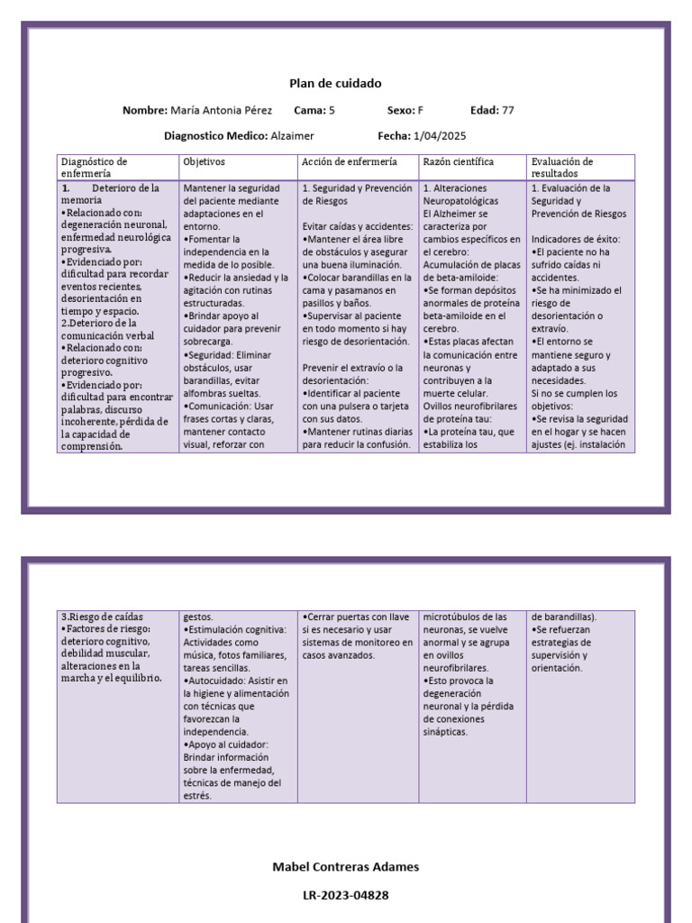 Plan de Cuidado para Paciente con Alzheimer | PDF | Especialidades ...