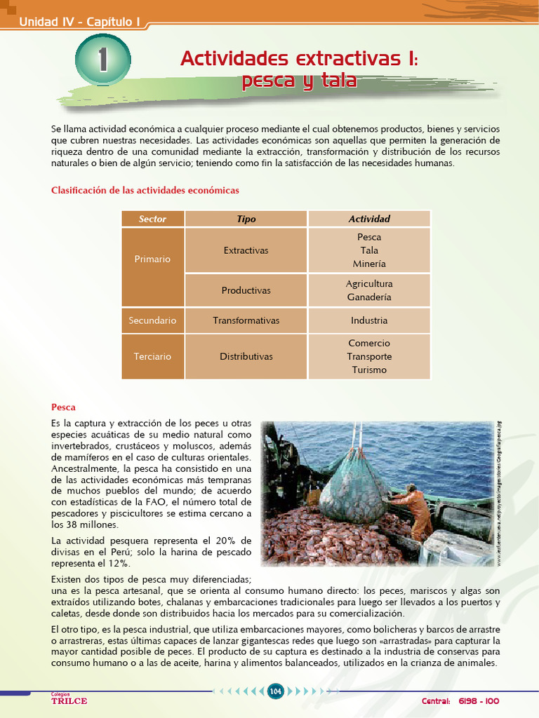 Actividades económicas: pesca y tala | PDF