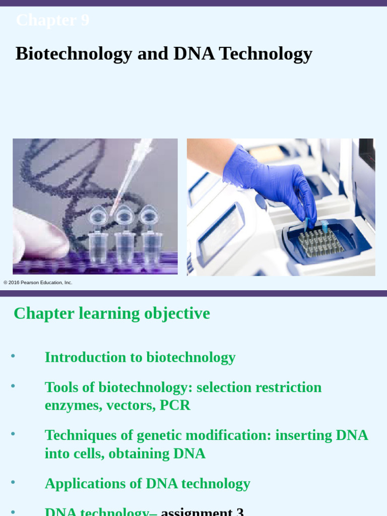 Chapters 9 Final | PDF | Molecular Cloning | Vector (Molecular Biology)