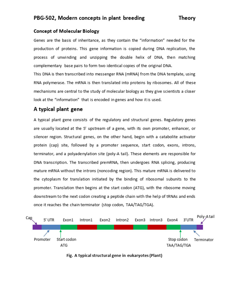 DOC-20230401-WA0000. | PDF | Polymerase Chain Reaction | Molecular Cloning