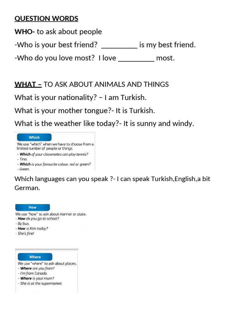 Question Words | PDF