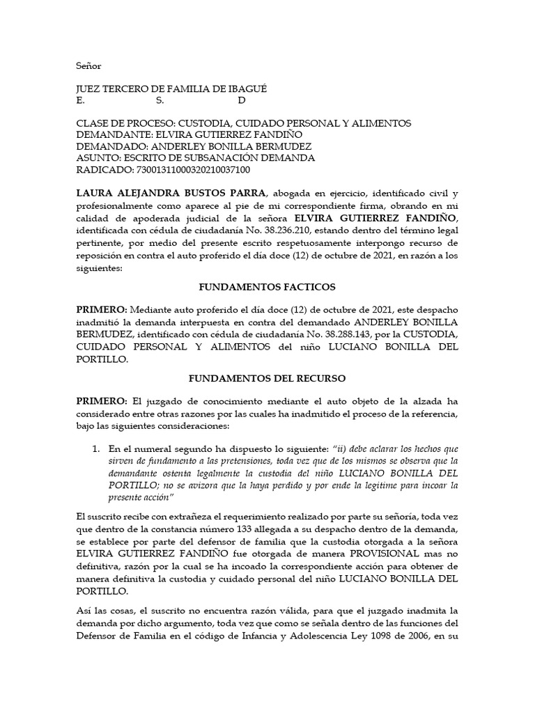 Recurso de reposición en custodia infantil | PDF | Justicia | Crimen y ...