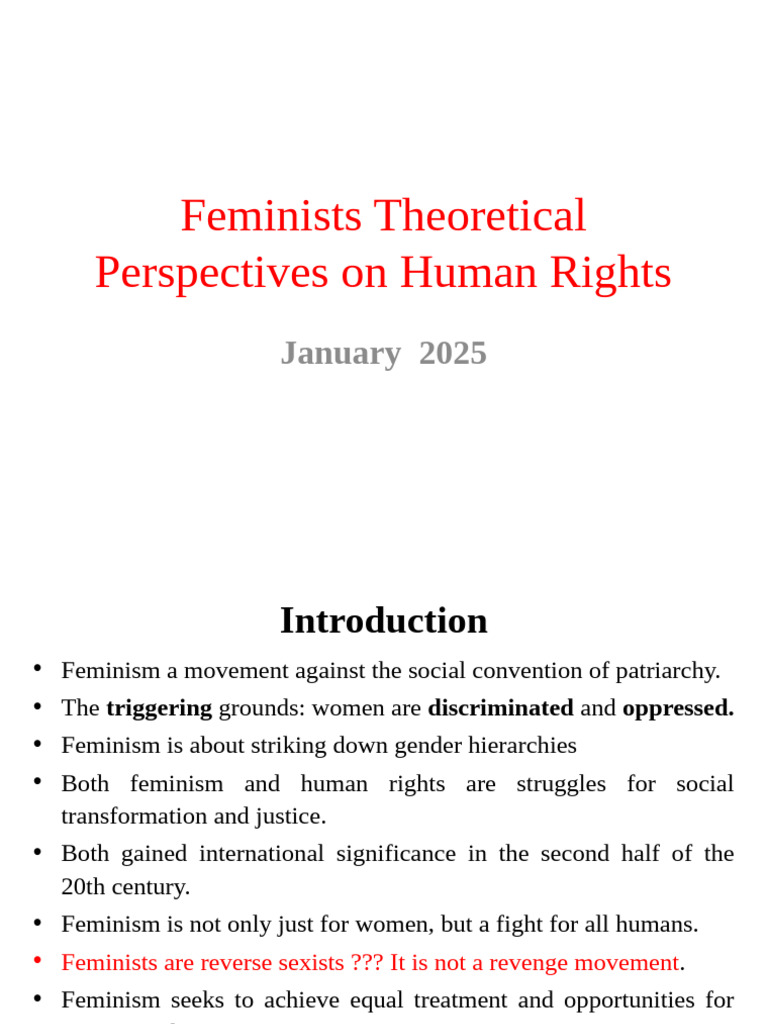 Feminist Perspectives on Human Rights | PDF | Gender Studies | Feminism