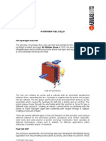 Hydrogen Fuel Cells