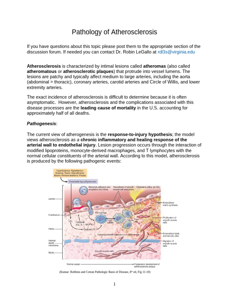 Atherosclerosis Pathology Explained | PDF | Atherosclerosis | Atheroma