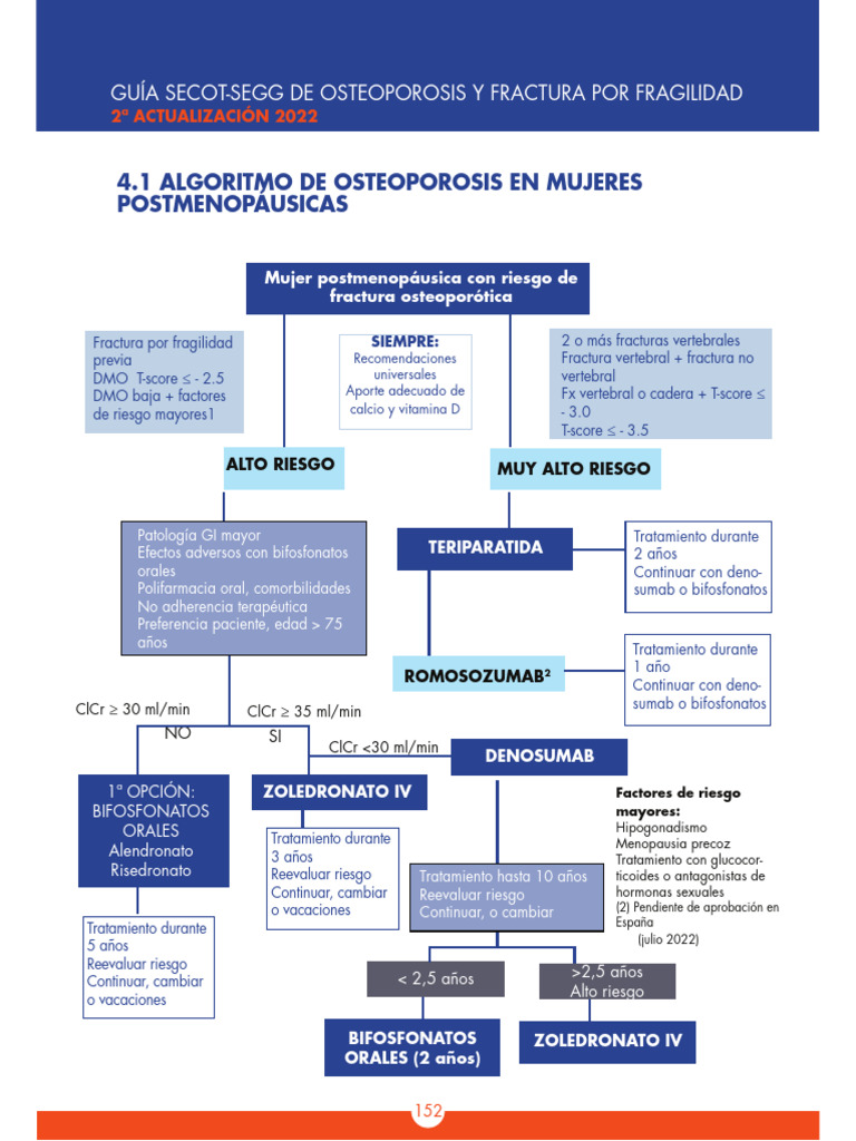 Guía de Osteoporosis y Fracturas 2022 | PDF | Osteoporosis ...