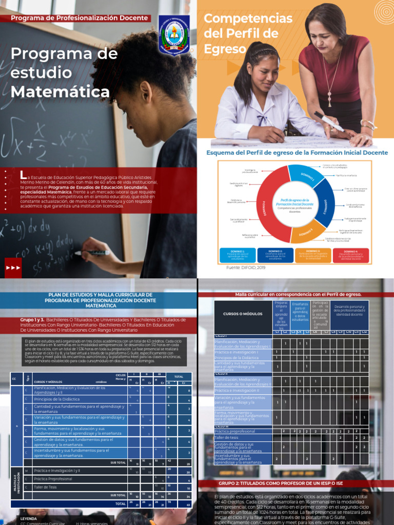 Programa de Estudios en Matemática | PDF | Plan de estudios | Enseñando