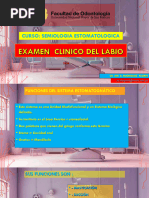 Anatomía y Función de la Región Labial | PDF | Labio | Anatomía humana