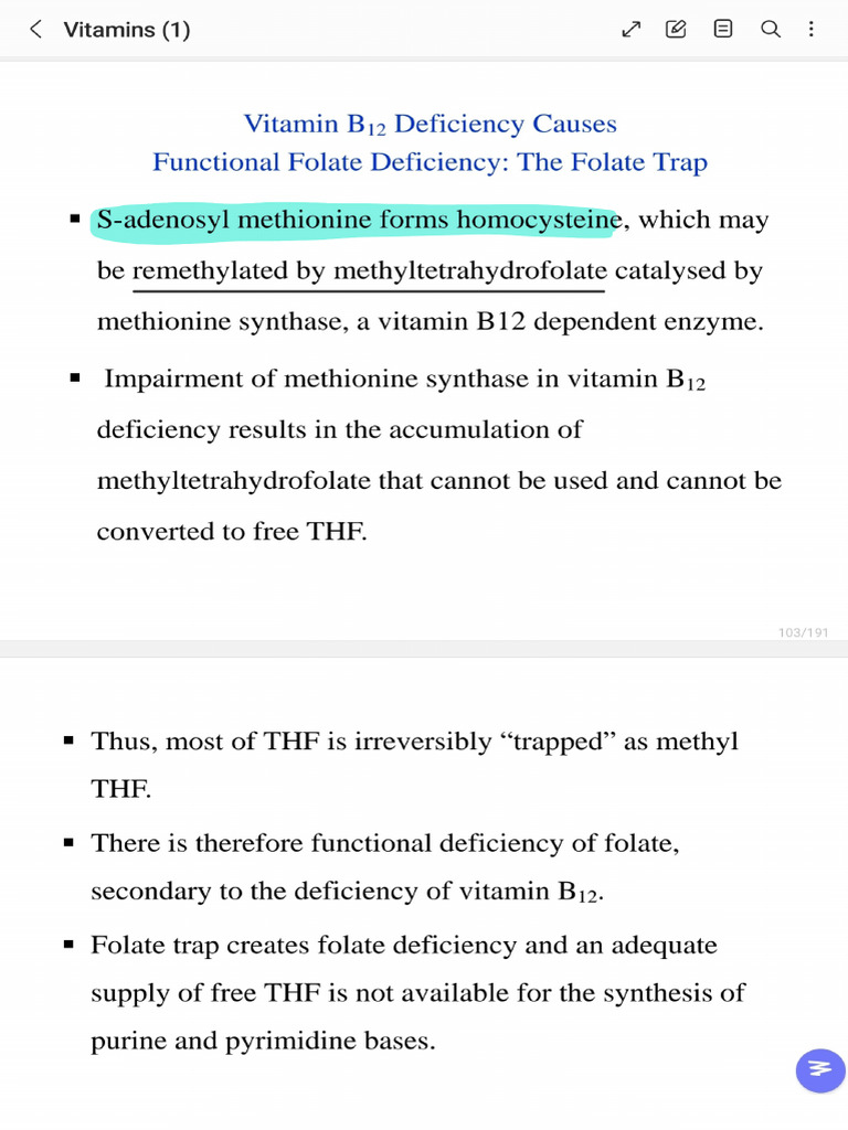 Folate Trape - 231101 - 031430 | PDF