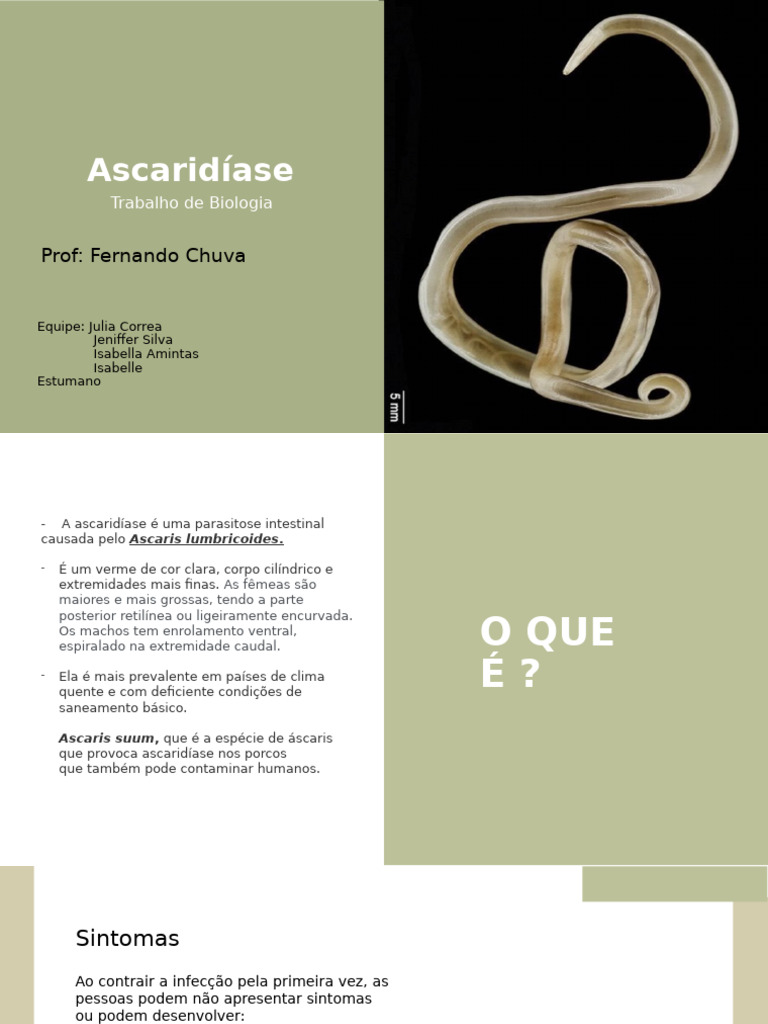 ascarid-ase-causas-sintomas-e-preven-o-pdf