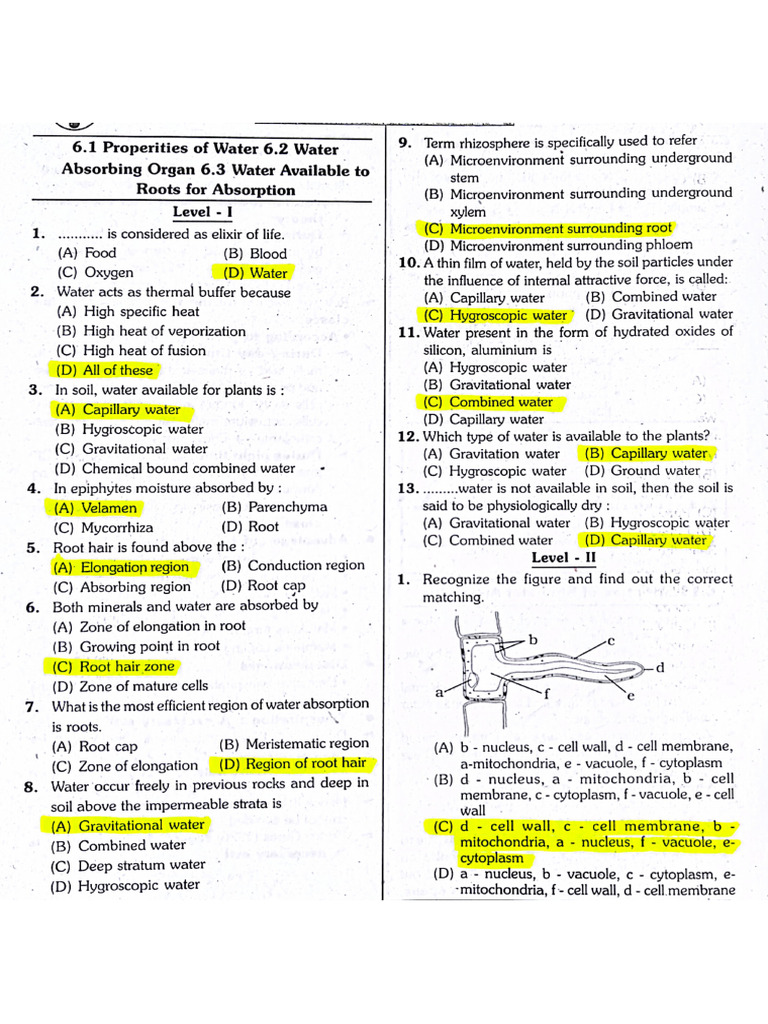 Plant Water Relation | PDF