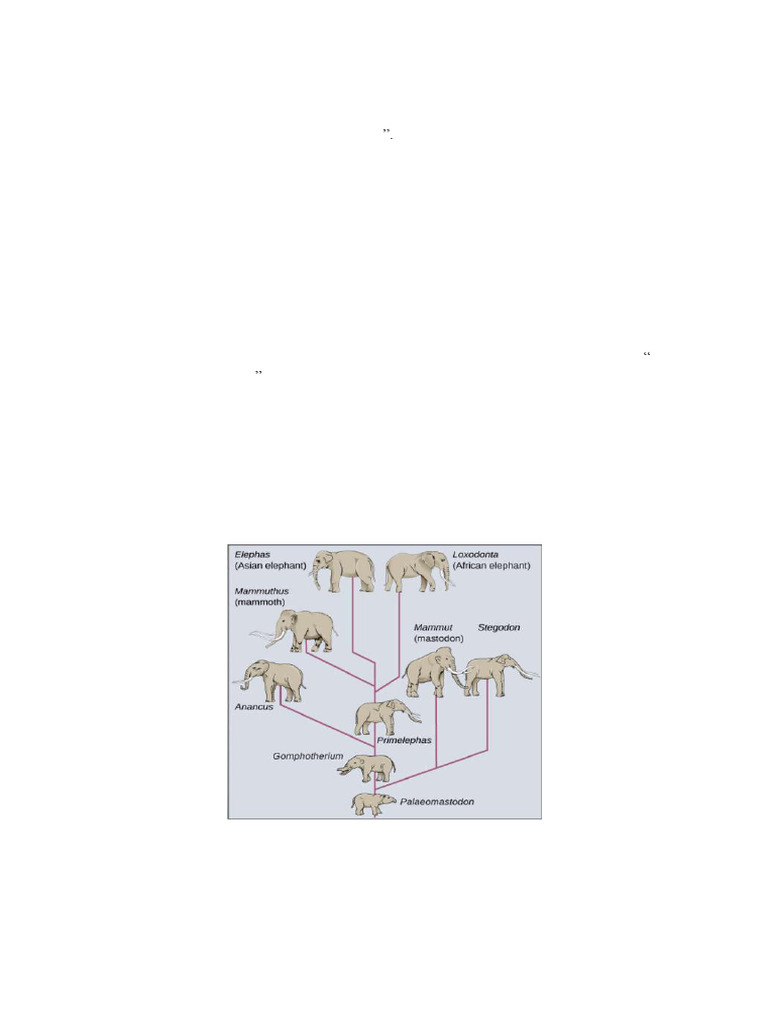 Understanding Speciation Types and Processes | PDF | Evolution | Species