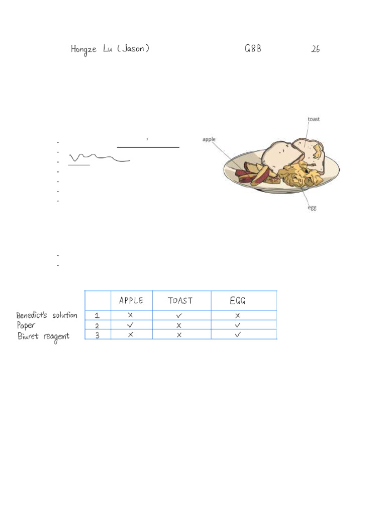 M 2 Worksheet 3 Food Test 2 | PDF | Foods | Nutrients