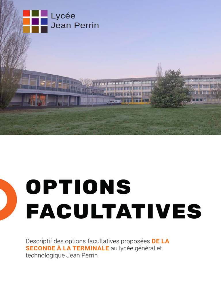 Options facultatives au Lycée Jean Perrin | PDF | Science | Mathématiques