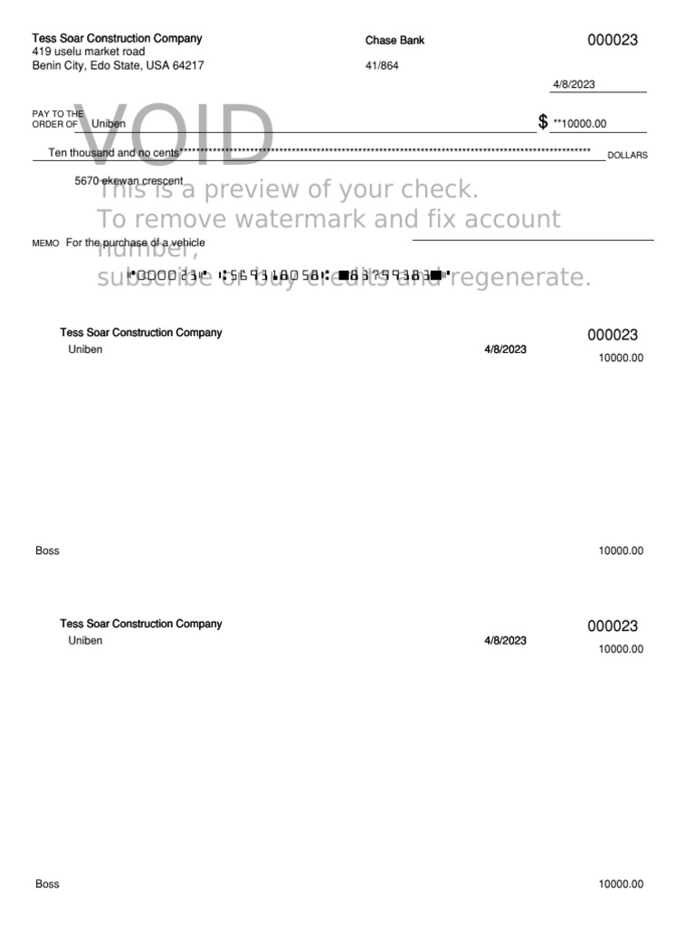 Tess Soar Construction Check Preview | PDF
