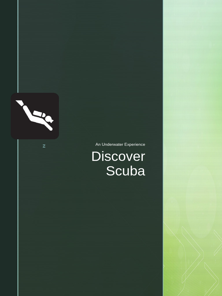 Scuba Diving Experience Course | PDF