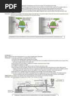 Potometer Practical for GCSE Biology | PDF | Botany | Plants