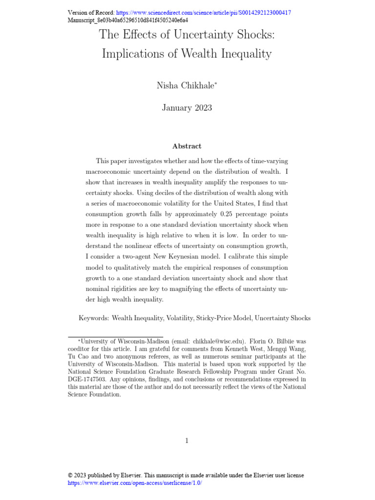 Impact of Wealth Inequality on Uncertainty Shocks | PDF | New Keynesian ...
