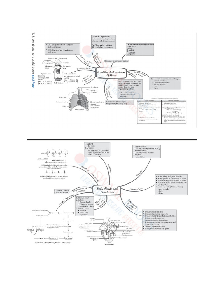 Flow Charts | PDF