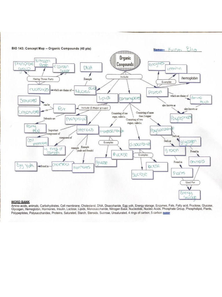 Organic Compounds | PDF