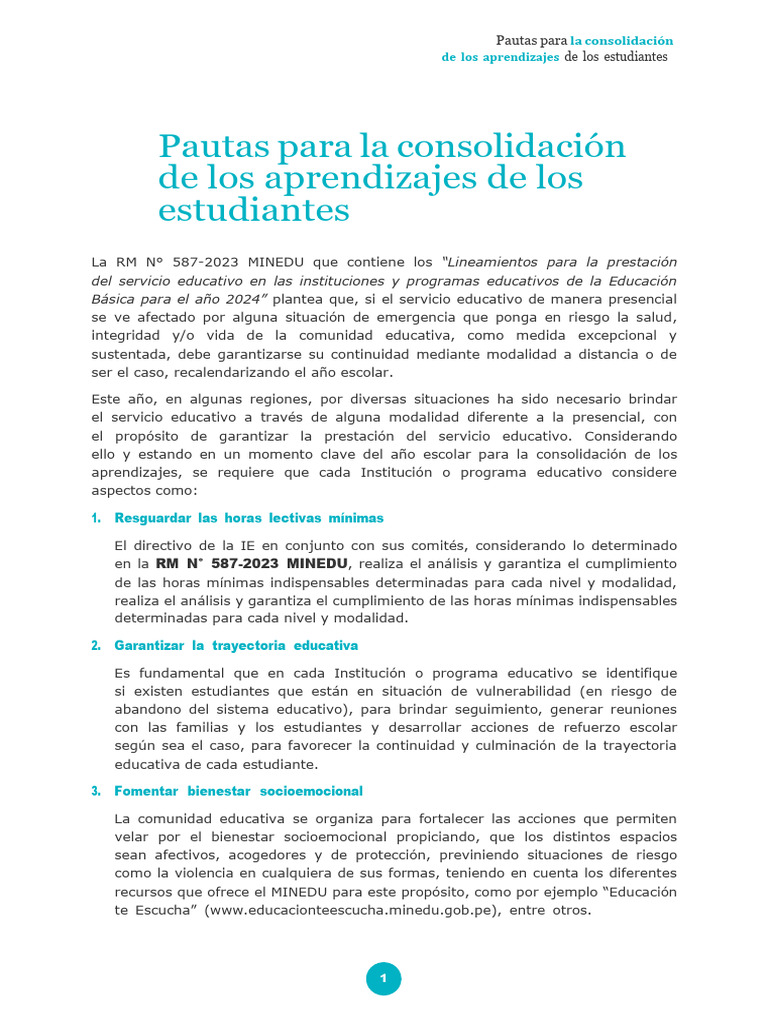 Pautas para Consolidar Aprendizajes 2024 | PDF | Evaluación | Enseñando