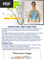 Measuring Chest Diameters and Shapes | PDF | Thorax | Scoliosis