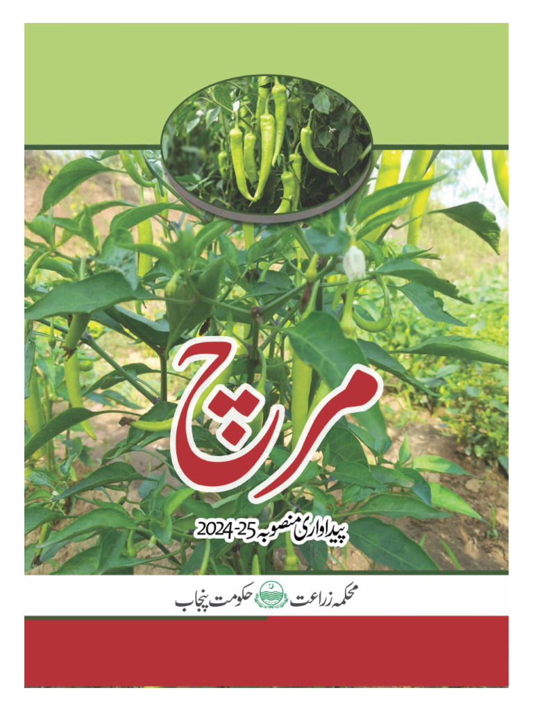 Production Plan Chillies | PDF
