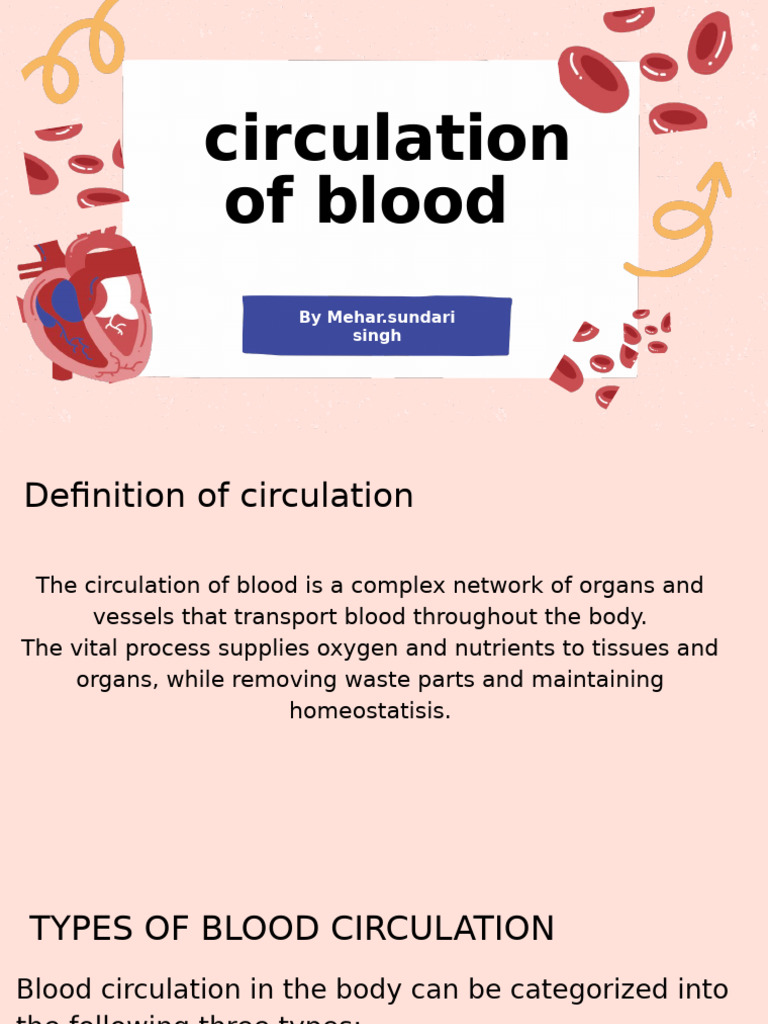 Types of Blood Circulation Explained | PDF | Circulatory System | Vein