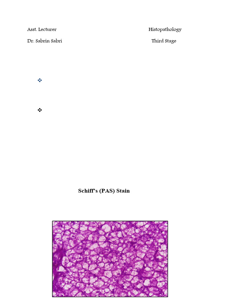 Special Stains in Histopathology | PDF