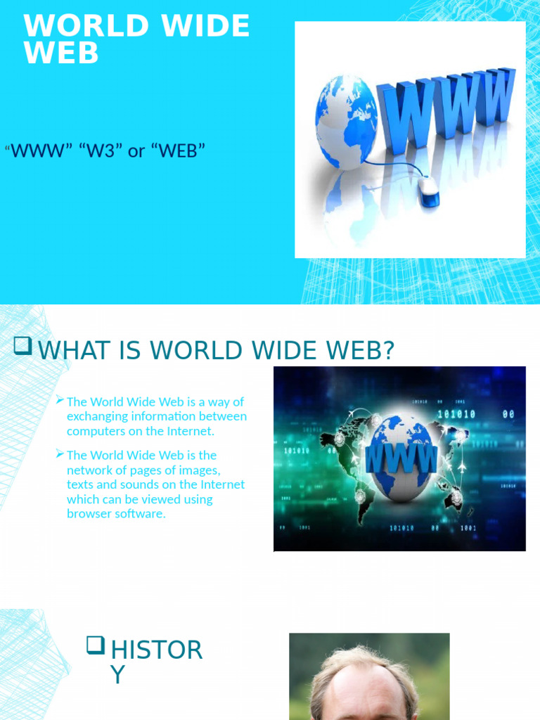 World Wide Web | PDF