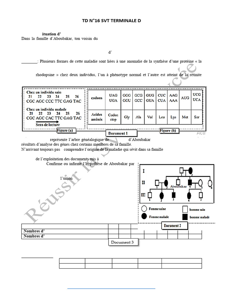 Rétinite pigmentaire : évaluation génétique | PDF | Processus ...
