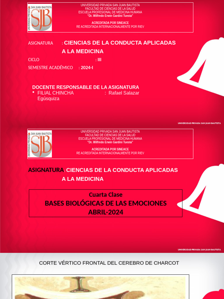 CLASE 4 BASES BIOLÓGICAS DE LAS EMOCIONES | PDF | Las emociones ...