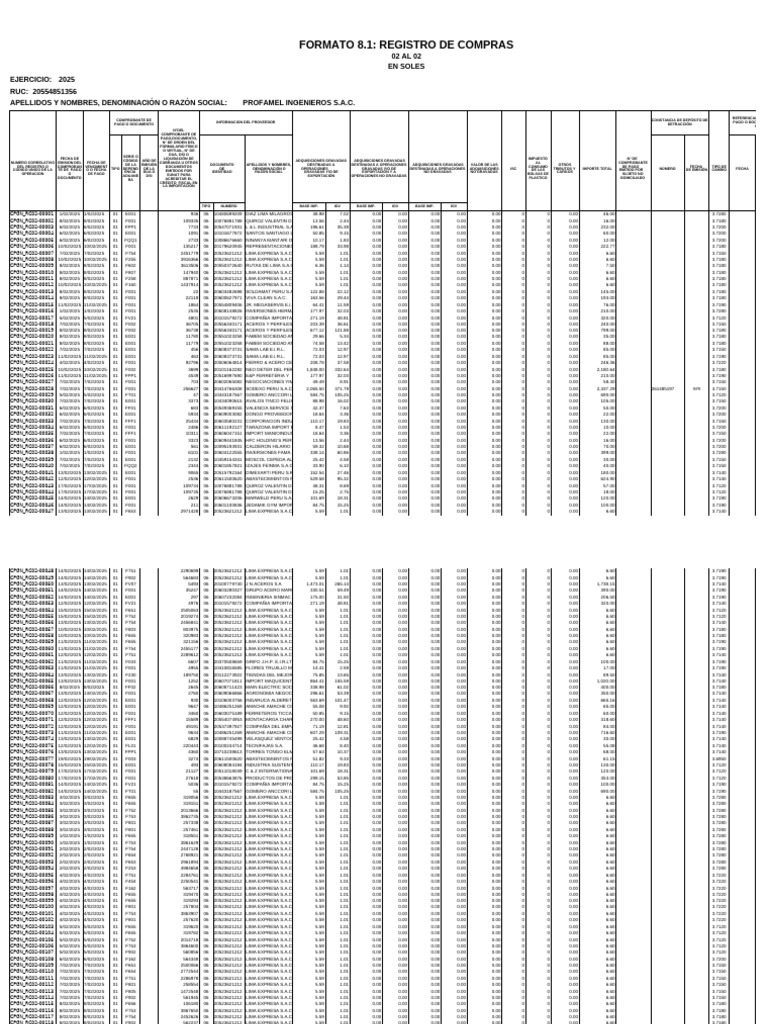 xrRegistroCompra2Sunat Repx | PDF
