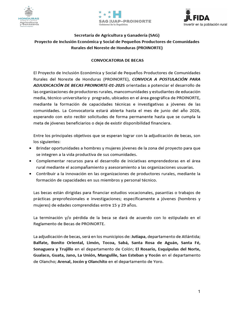 Convocatoria de Becas PROINORTE 2025 | PDF | Beca | Honduras