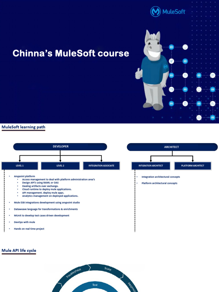 Chinnas MCD Ppts | PDF | Parameter (Computer Programming) | String  (Computer Science)