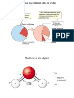 Biomoléculas (Animada)