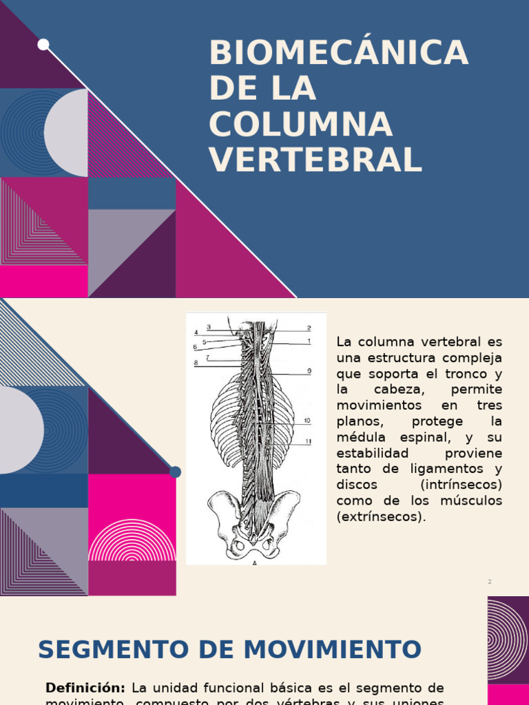Biomecánica de la Columna Vertebral | PDF | La columna vertebral ...