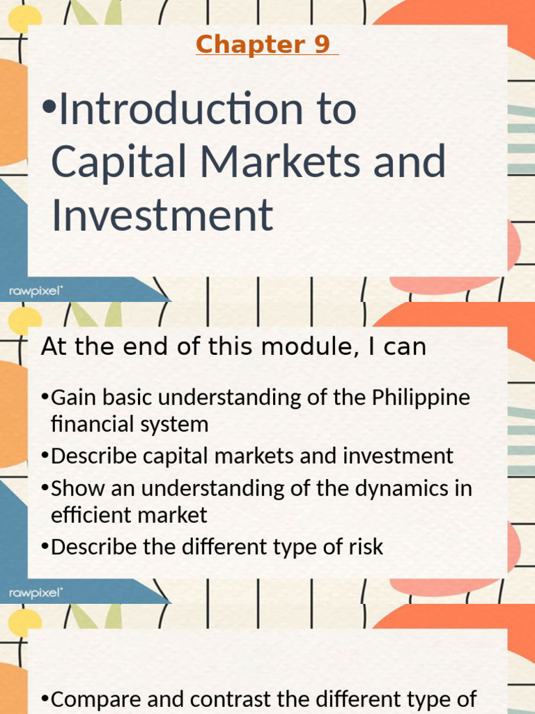 module9 PDF Financial Risk Investing